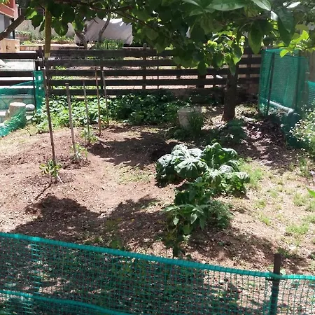 Village Life Holiday home Kanakades