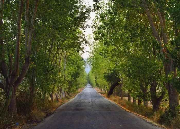 Village Life